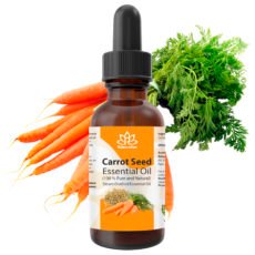 Carrot oil