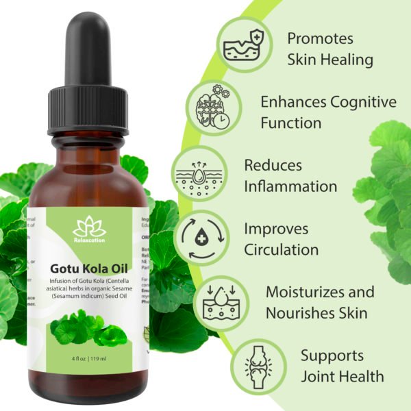 Gotu Kola (Centella) Pure Natural Carrier Oil - Image 2