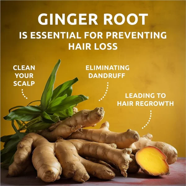 GINGER ROOT Shampoo Bar and Conditioner Bar for Hair Growth - Image 5
