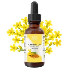 Camelina Oil – Cold Pressed "Gold of Pleasure"