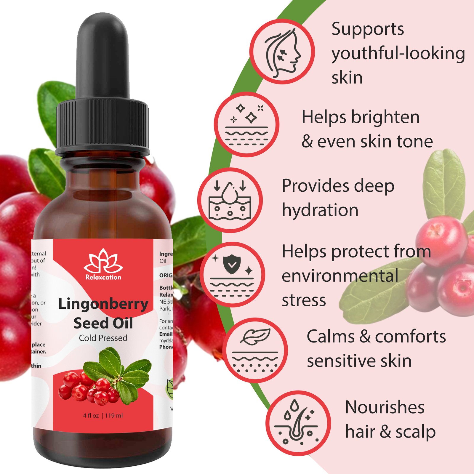 Pure Lingonberry Seed Oil - Cold Pressed Botanical Oil Nordic Inspired - Image 3